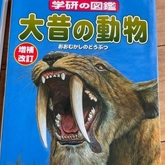 図鑑(5冊まとめ売り)の画像