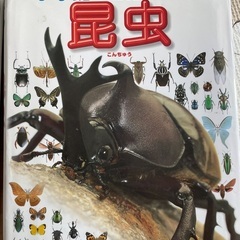 図鑑(5冊まとめ売り)の画像