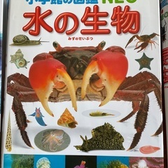 図鑑(5冊まとめ売り)の画像
