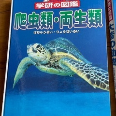図鑑(5冊まとめ売り)の画像