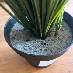 IKEAフェイク観葉植物の画像