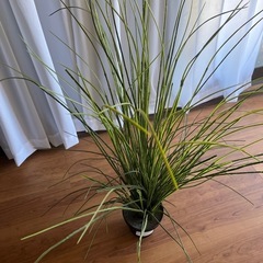 IKEAフェイク観葉植物の画像