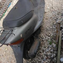 ホンダディオaf34の画像