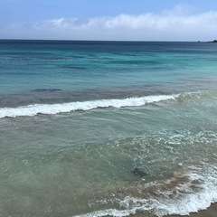 海の家！デリバリースタッフ募集！白浜ハーフウェイの画像