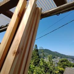 木材　10本の画像