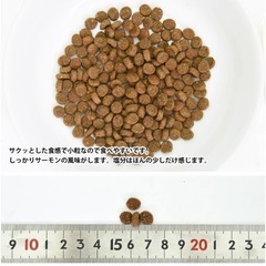 ウェルネス コア 消化器ケア成猫用 サーモン&米400g／高タンパク体重管理用骨抜きチキン400g 【合計800g】の画像