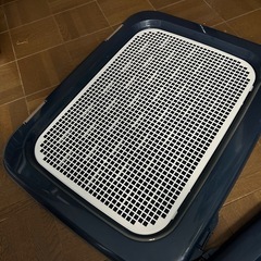 犬　トイレトレーの画像