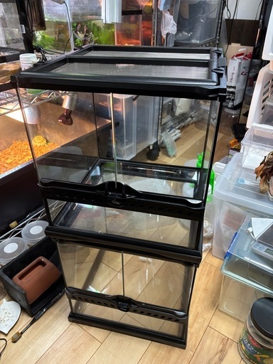 GEXエキゾテラ　グラステラリウム3030 ×2