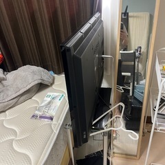 TVの画像