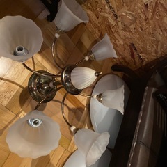 照明器具
の画像