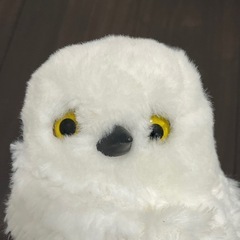 ニトリ　フクロウの置物 ぬいぐるみの画像