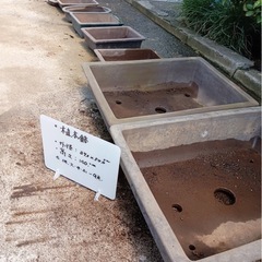 植木鉢各種の画像