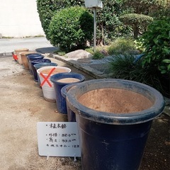 植木鉢各種の画像