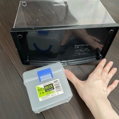 コレクションケース 収納の画像