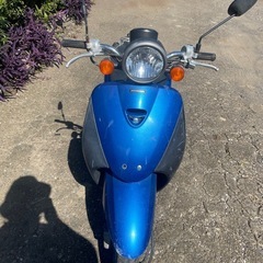 ホンダトゥデイの画像