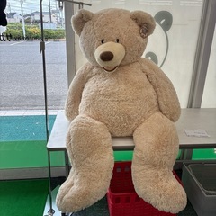 リユースのサカイ東金店　コストコ　特大クマぬいぐるみ　TJ13561