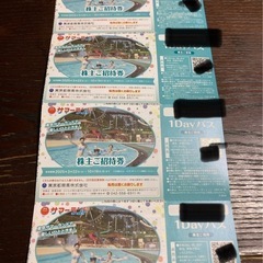 東京サマーランド　入園無料券　4枚セット　バラ売りも要相談の画像