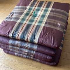 座布団5枚（座布団袋付き）の画像