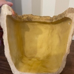 爬虫類　シェルターの画像