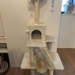 【未使用】【8/7まで掲載】キャットタワーの画像