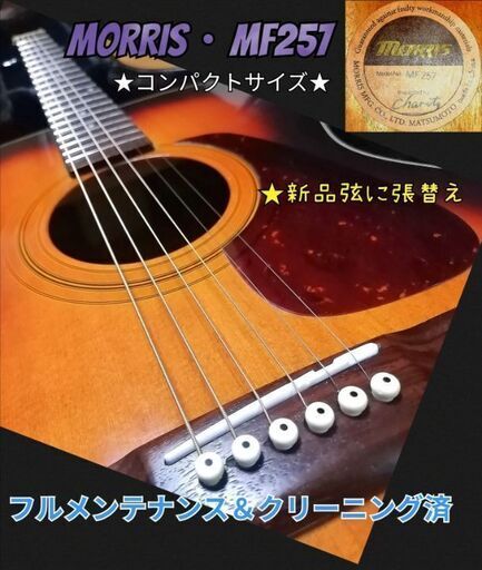 ☆コンパクトサイズ☆MORRIS・MF257☆