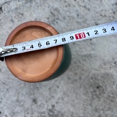 花瓶　入院した時の画像