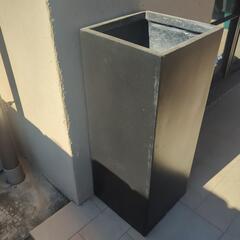 鉢の画像