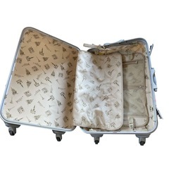 ●キャリーケース　中古品　横46cm 縦73cm 幅23cmの画像