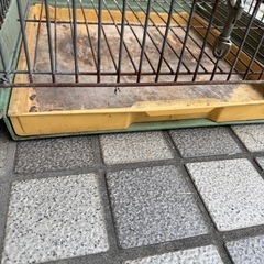 オームカゴ　465 インコ※佐賀県神埼郡自宅まで引取限定の画像