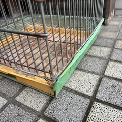オームカゴ　465 インコ※佐賀県神埼郡自宅まで引取限定の画像