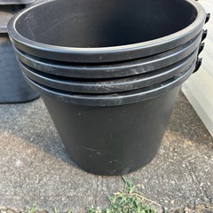 メダカ10ℓバケツ新品13個中古4の画像