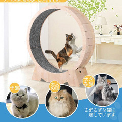 お値下げ　キャットホイール　猫　犬　の画像