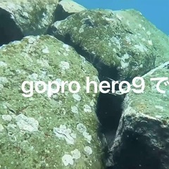 gopro9の画像