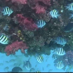 gopro9の画像
