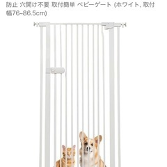 ペットゲートの画像