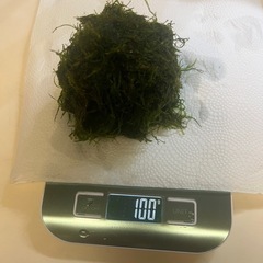 ウィローモス50gの画像