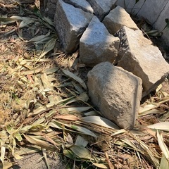 庭石無料の画像