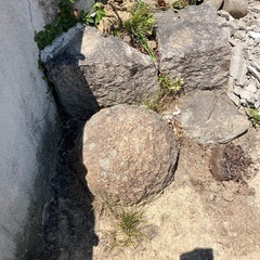 庭石無料の画像