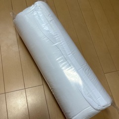 トゥルースリーパー肌掛け布団　新品未使用の画像
