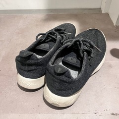 オールバーズ  Allbirds 26cmの画像