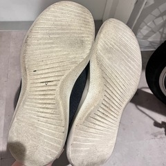 オールバーズ  Allbirds 26cmの画像