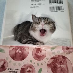 もちまる日記の画像