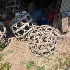 大きなカゴ！まとめて！の画像