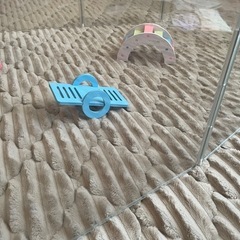 ハムスター　サークルの画像
