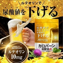 【新品】尿酸値 下げる カロバーン サプリ ルテオリン アンセリン 16種の無添加の画像
