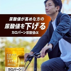 【新品】尿酸値 下げる カロバーン サプリ ルテオリン アンセリン 16種の無添加の画像