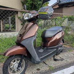 ホンダ　タクト　HONDA　TACT　AF75　セル始動　現車確認可　の画像