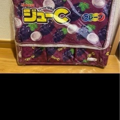 【受け渡し予定】【現金取引】ジューC保温保冷BIGマルチバッグの画像