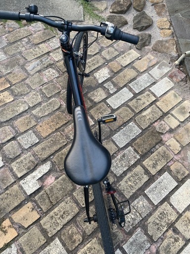 GIANT 自転車 24インチの通販はau PAY マーケット - 輸入雑貨のネット 