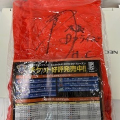 787   　広島ドラゴンフライズ時代のTシャツ・2014-2017年佐古賢一ヘッドコーチのサイン入りの画像